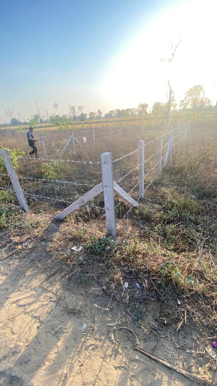 RCC Pol Fencing view 2